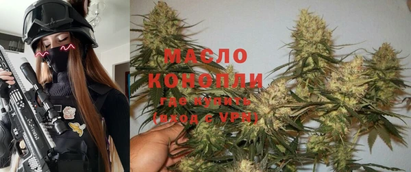 гидра Билибино