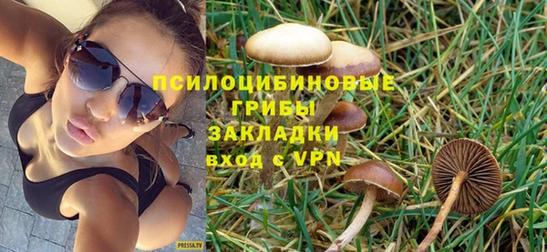 MDMA Premium VHQ Карпинск