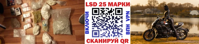блэк спрут рабочий сайт Кедровый ЛСД экстази кислота закладки